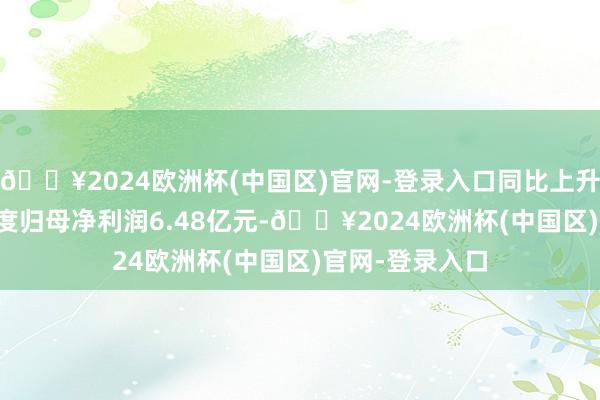 🔥2024欧洲杯(中国区)官网-登录入口同比上升1.13%；单季度归母净利润6.48亿元-🔥2024欧洲杯(中国区)官网-登录入口