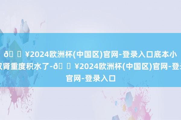 🔥2024欧洲杯(中国区)官网-登录入口底本小潘的双肾重度积水了-🔥2024欧洲杯(中国区)官网-登录入口